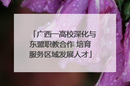 广西一高校深化与东盟职教合作 培育服务区域发展人才