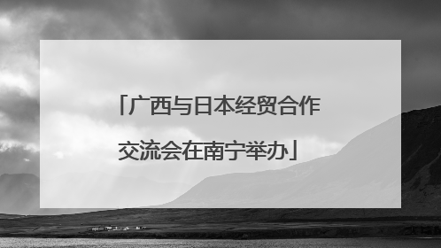 广西与日本经贸合作交流会在南宁举办