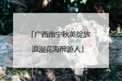广西南宁秋英绽放 浪漫花海醉游人