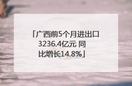 广西前5个月进出口3236.4亿元 同比增长14.8%