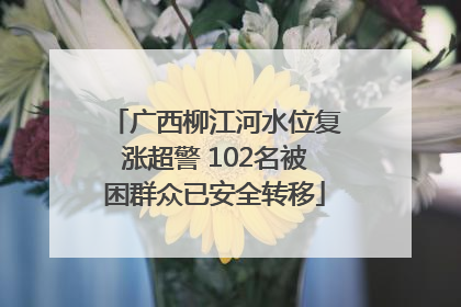 广西柳江河水位复涨超警 102名被困群众已安全转移