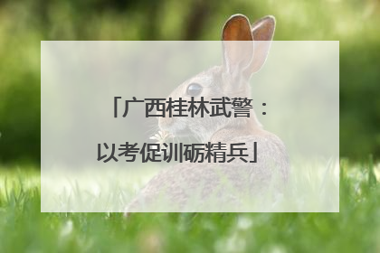 广西桂林武警：以考促训砺精兵