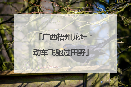 广西梧州龙圩：动车飞驰过田野