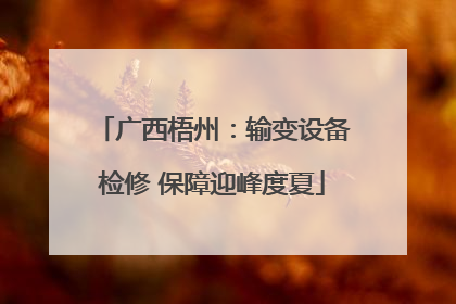 广西梧州：输变设备检修 保障迎峰度夏
