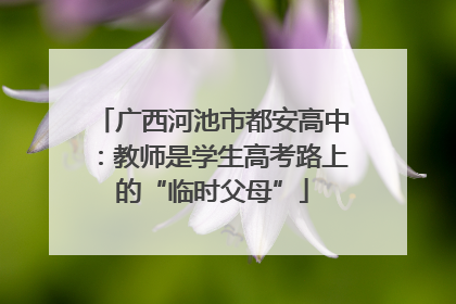 广西河池市都安高中：教师是学生高考路上的“临时父母”