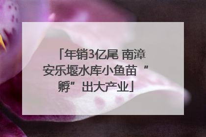 年销3亿尾 南漳安乐堰水库小鱼苗“孵”出大产业