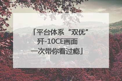 平台体系“双优” 歼-10CE画面一次带你看过瘾