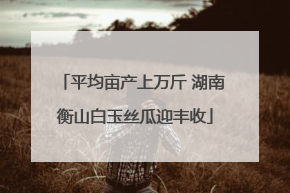平均亩产上万斤 湖南衡山白玉丝瓜迎丰收