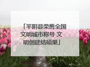 平阴县荣膺全国文明城市称号 文明创建结硕果
