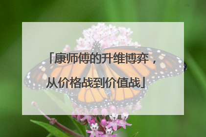 康师傅的升维博弈，从价格战到价值战