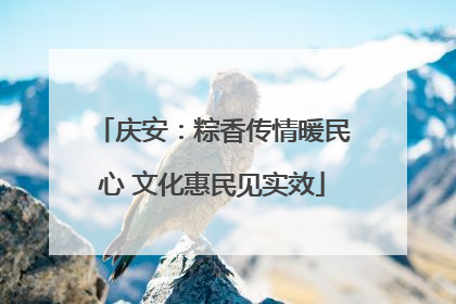庆安：粽香传情暖民心 文化惠民见实效