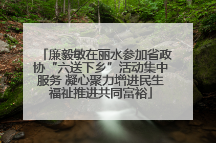 廉毅敏在丽水参加省政协“六送下乡”活动集中服务 凝心聚力增进民生福祉推进共同富裕