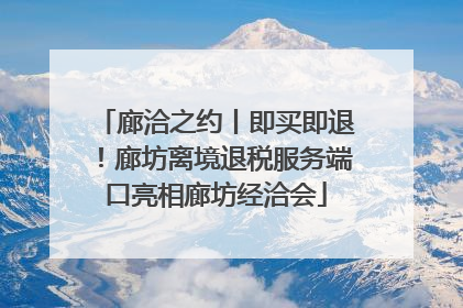 廊洽之约丨即买即退！廊坊离境退税服务端口亮相廊坊经洽会