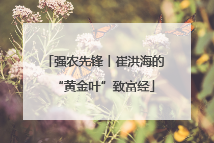 强农先锋丨崔洪海的“黄金叶”致富经
