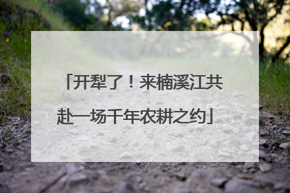 开犁了！来楠溪江共赴一场千年农耕之约