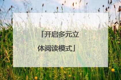 开启多元立体阅读模式