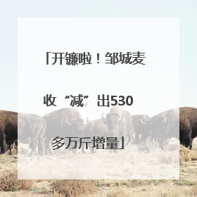 开镰啦！邹城麦收“减”出530多万斤增量