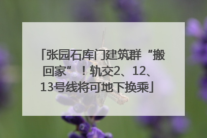 张园石库门建筑群“搬回家”！轨交2、12、13号线将可地下换乘