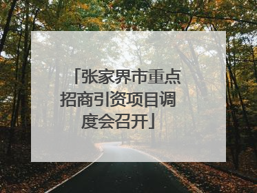 张家界市重点招商引资项目调度会召开