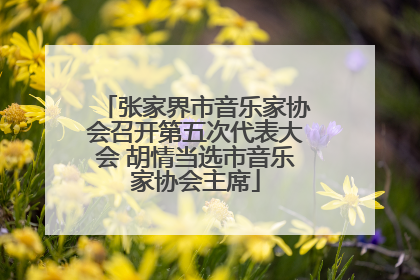 张家界市音乐家协会召开第五次代表大会 胡情当选市音乐家协会主席