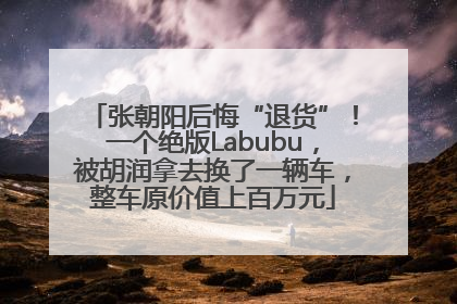 张朝阳后悔“退货”！一个绝版Labubu，被胡润拿去换了一辆车，整车原价值上百万元