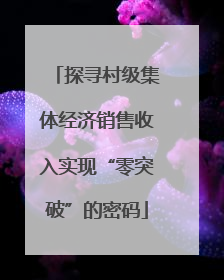 探寻村级集体经济销售收入实现“零突破”的密码