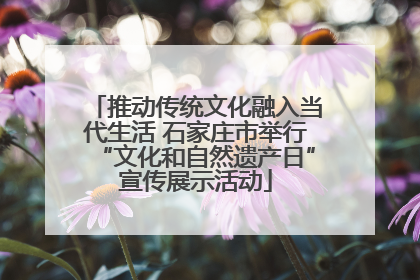 推动传统文化融入当代生活 石家庄市举行“文化和自然遗产日”宣传展示活动