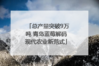 总产量突破9万吨 青岛蓝莓解码现代农业新范式
