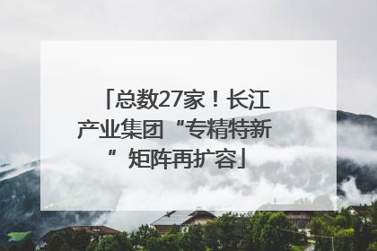 总数27家！长江产业集团“专精特新”矩阵再扩容