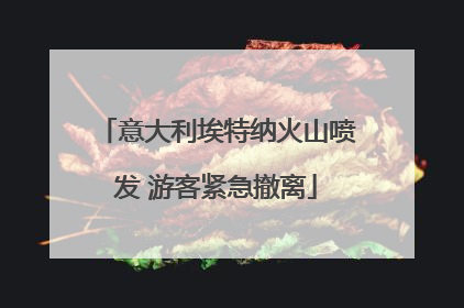意大利埃特纳火山喷发 游客紧急撤离