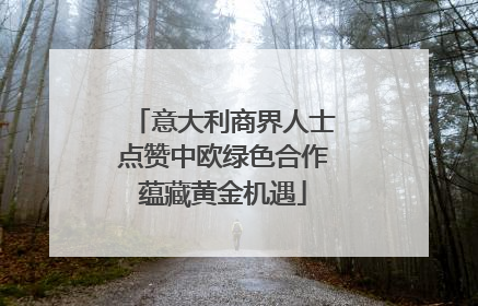 意大利商界人士点赞中欧绿色合作蕴藏黄金机遇