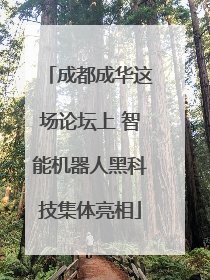 成都成华这场论坛上 智能机器人黑科技集体亮相