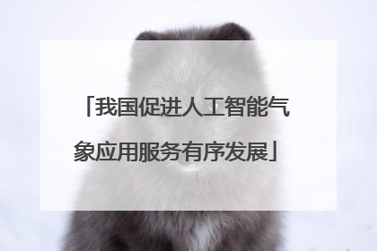 我国促进人工智能气象应用服务有序发展