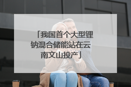 我国首个大型锂钠混合储能站在云南文山投产