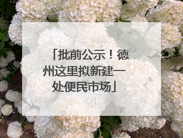 批前公示！德州这里拟新建一处便民市场