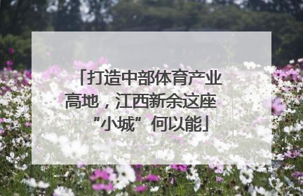 打造中部体育产业高地，江西新余这座“小城”何以能