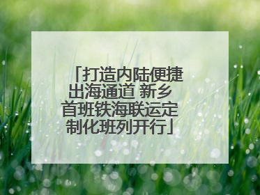 打造内陆便捷出海通道 新乡首班铁海联运定制化班列开行