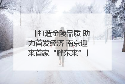 打造金陵品质 助力首发经济 南京迎来首家“胖东来”