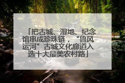 把古城、湿地、纪念馆串成珍珠链，“鲁风运河”古城文化廊道入选十大最美农村路