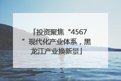 投资聚焦“4567”现代化产业体系，黑龙江产业换新景