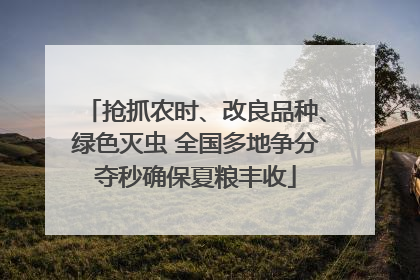 抢抓农时、改良品种、绿色灭虫 全国多地争分夺秒确保夏粮丰收