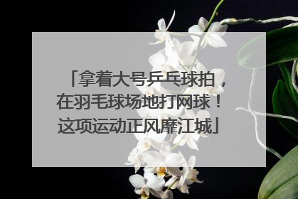 拿着大号乒乓球拍，在羽毛球场地打网球！这项运动正风靡江城
