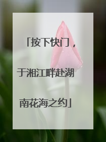 按下快门，于湘江畔赴湖南花海之约