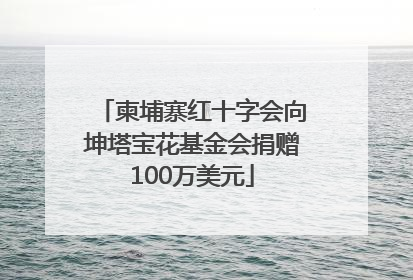 柬埔寨红十字会向坤塔宝花基金会捐赠100万美元