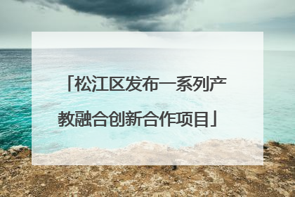 松江区发布一系列产教融合创新合作项目