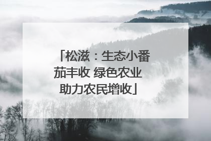 松滋：生态小番茄丰收 绿色农业助力农民增收