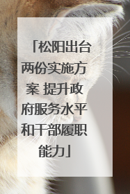 松阳出台两份实施方案 提升政府服务水平和干部履职能力