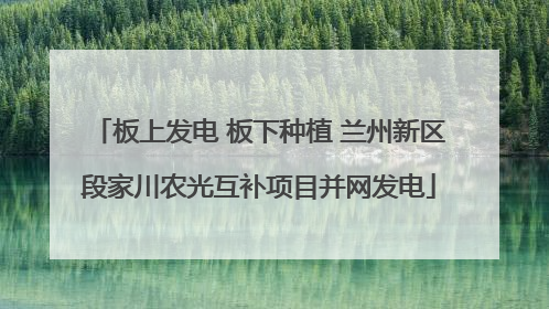 板上发电 板下种植 兰州新区段家川农光互补项目并网发电
