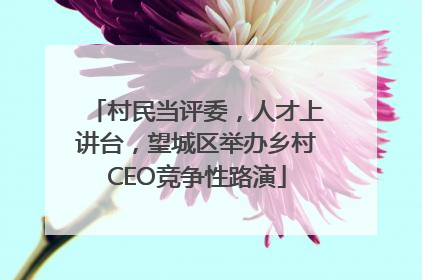 村民当评委，人才上讲台，望城区举办乡村CEO竞争性路演