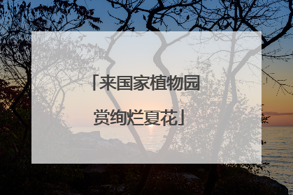 来国家植物园 赏绚烂夏花